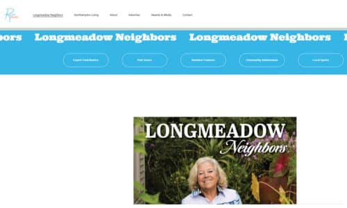 Guide to Media - Longmeadow Neighbors - Screenshot